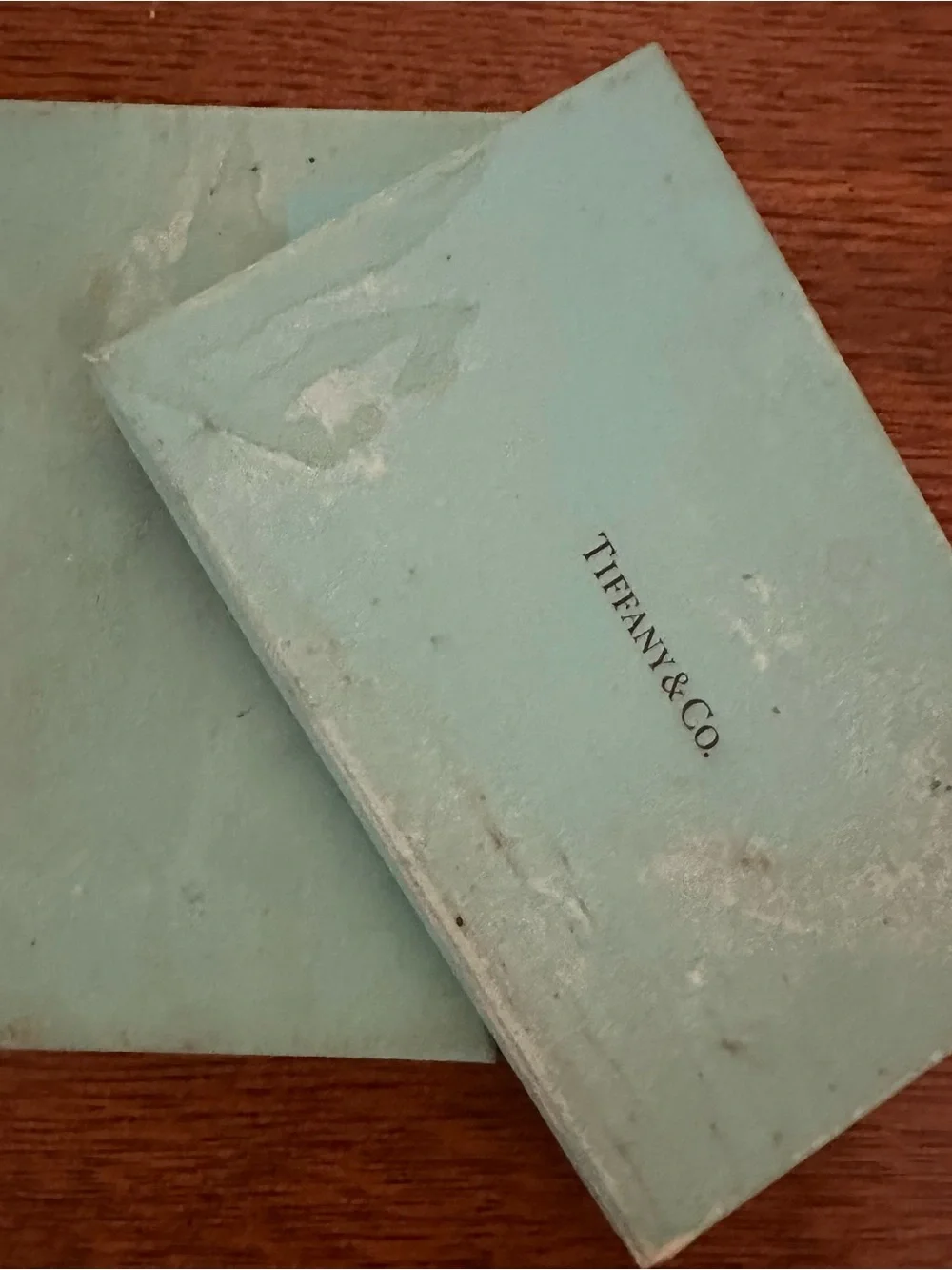 New Tiffany little blue Notebook